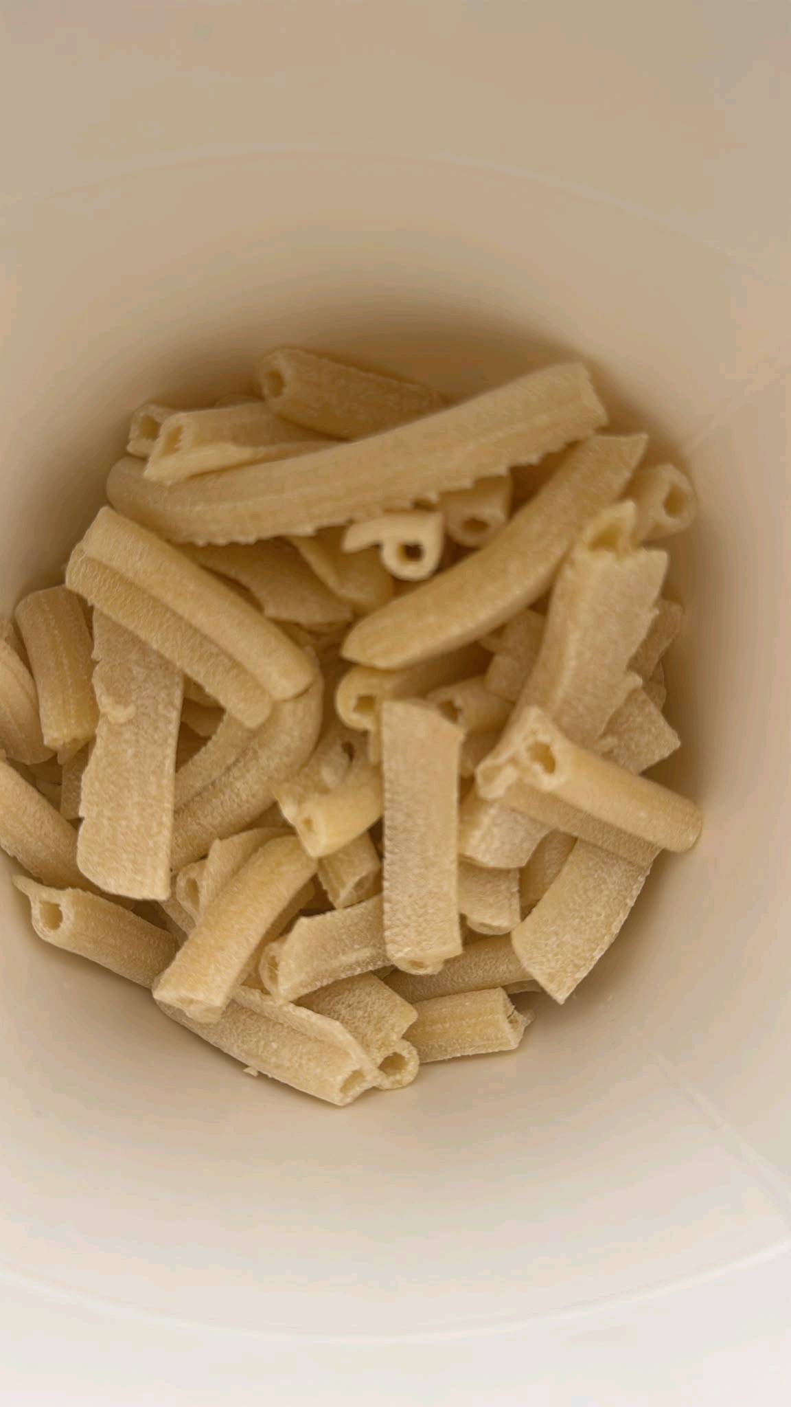PASTARD 9