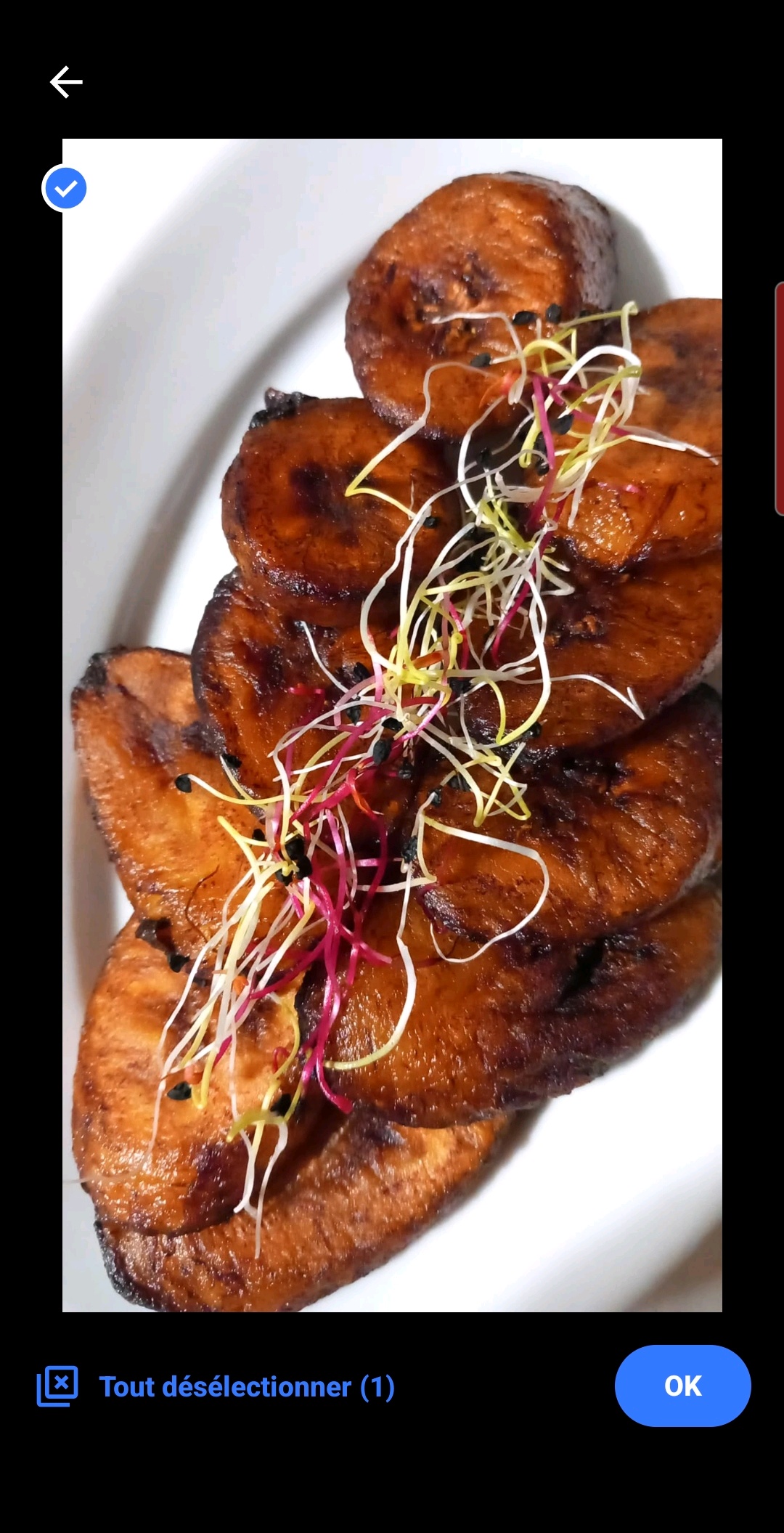 LE KREYOLEAT GRILL 8