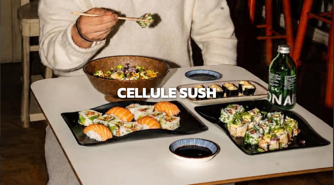 CELLULE SUSH 1