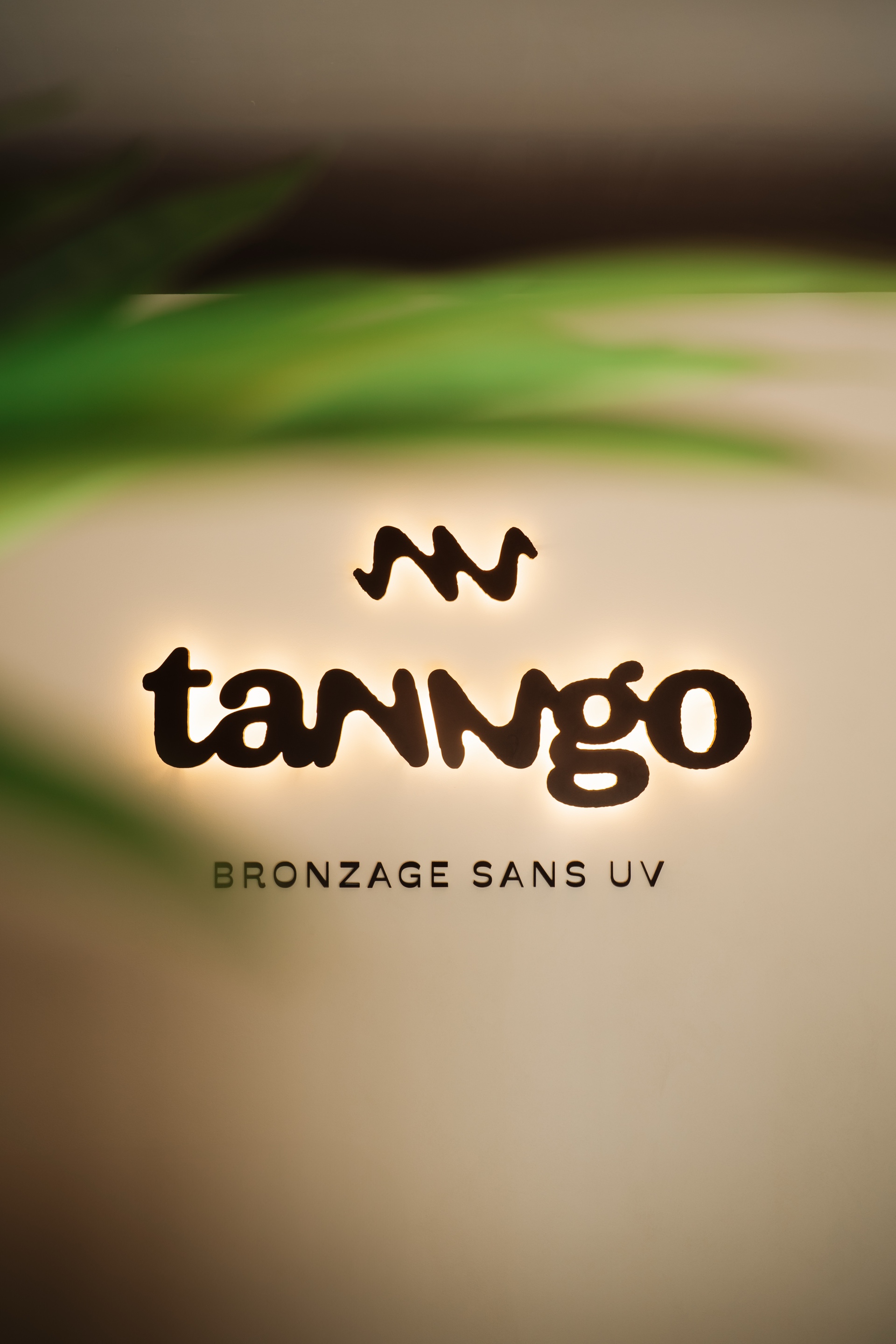 TANNGO 7