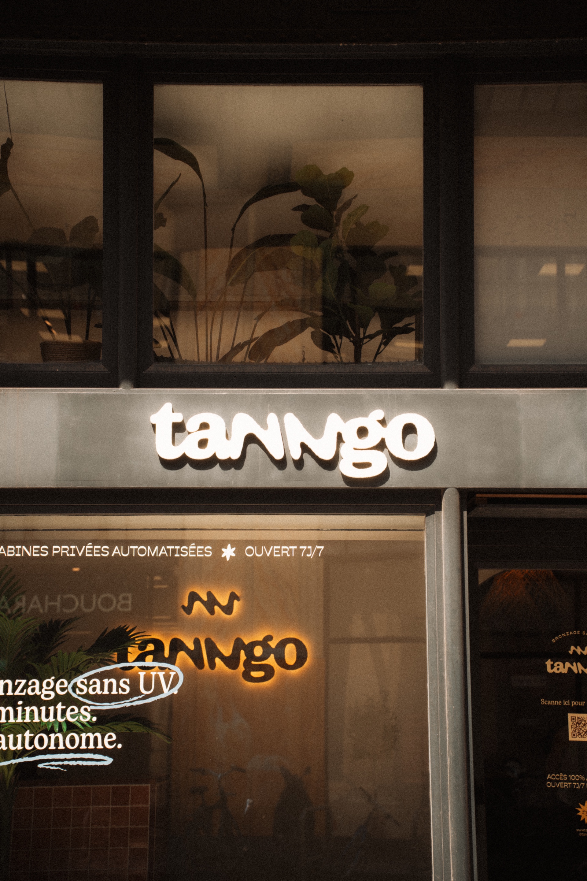 TANNGO 6
